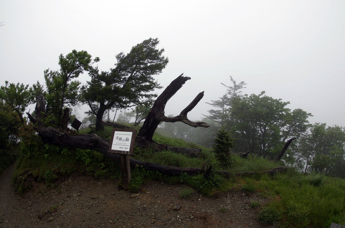 f:id:wakuraba01:20210204191336j:plain