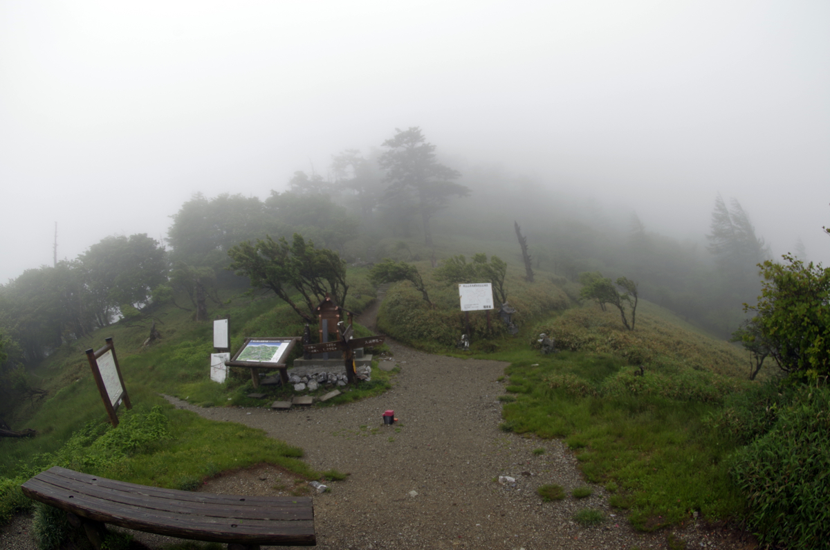 f:id:wakuraba01:20210204191339j:plain