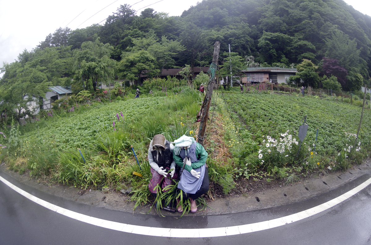 f:id:wakuraba01:20210204192156j:plain