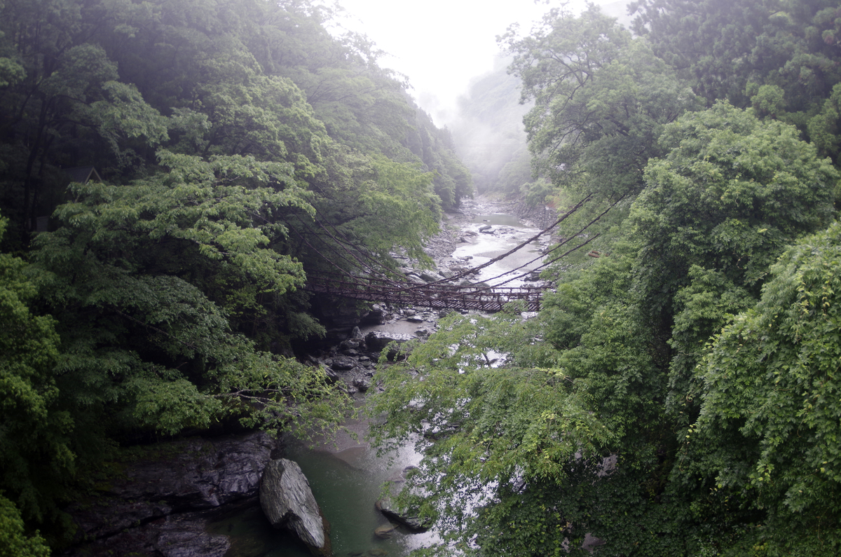 f:id:wakuraba01:20210204194722j:plain