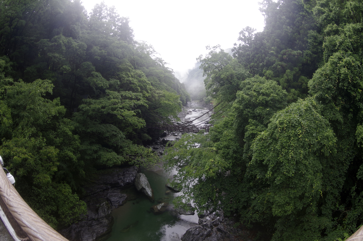f:id:wakuraba01:20210204194726j:plain