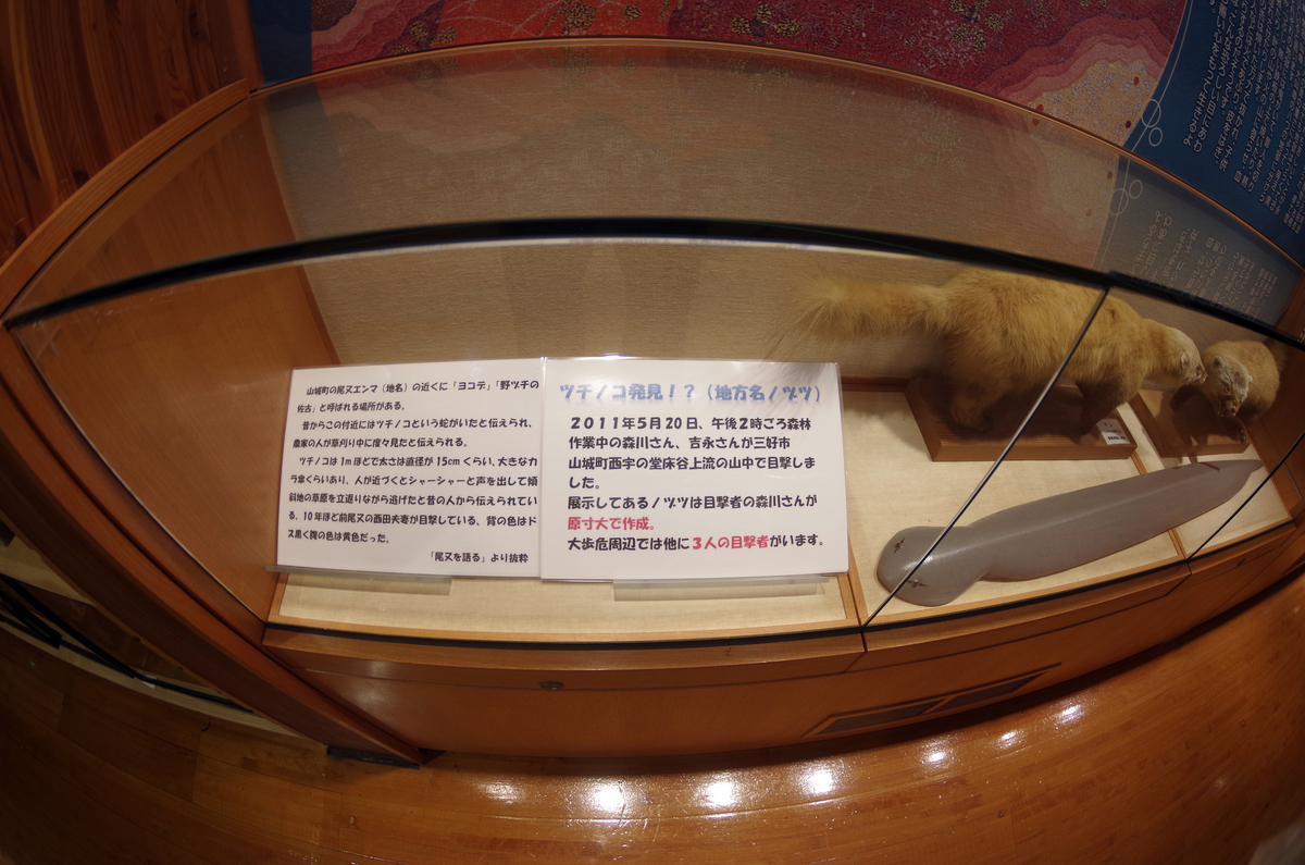 f:id:wakuraba01:20210204201951j:plain