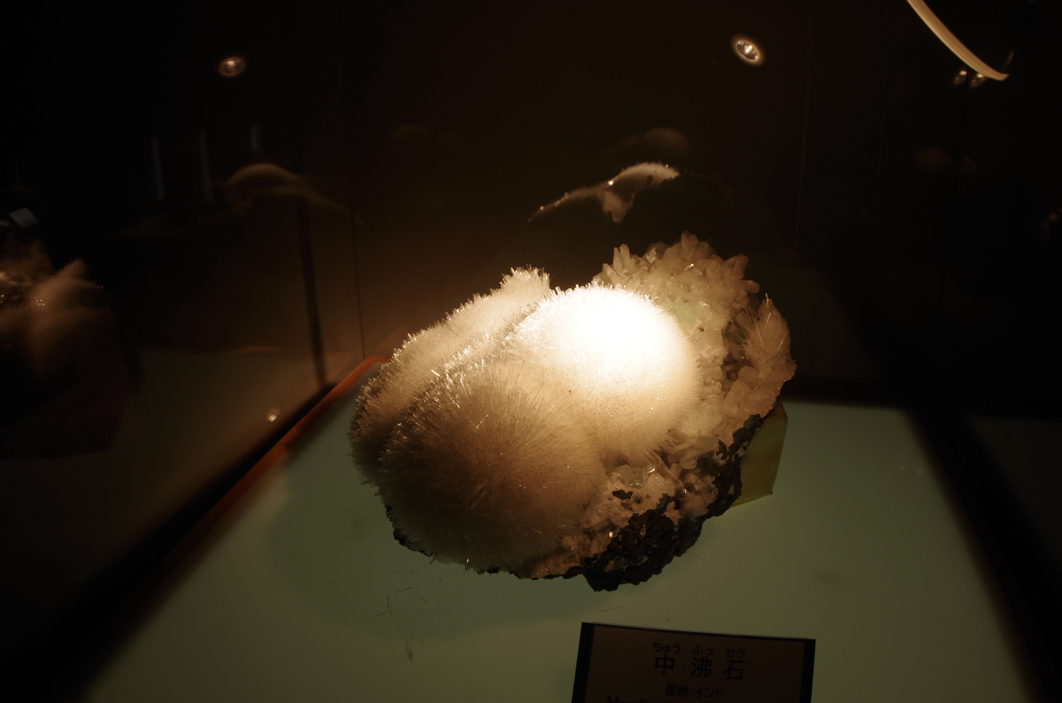 f:id:wakuraba01:20210204202413j:plain