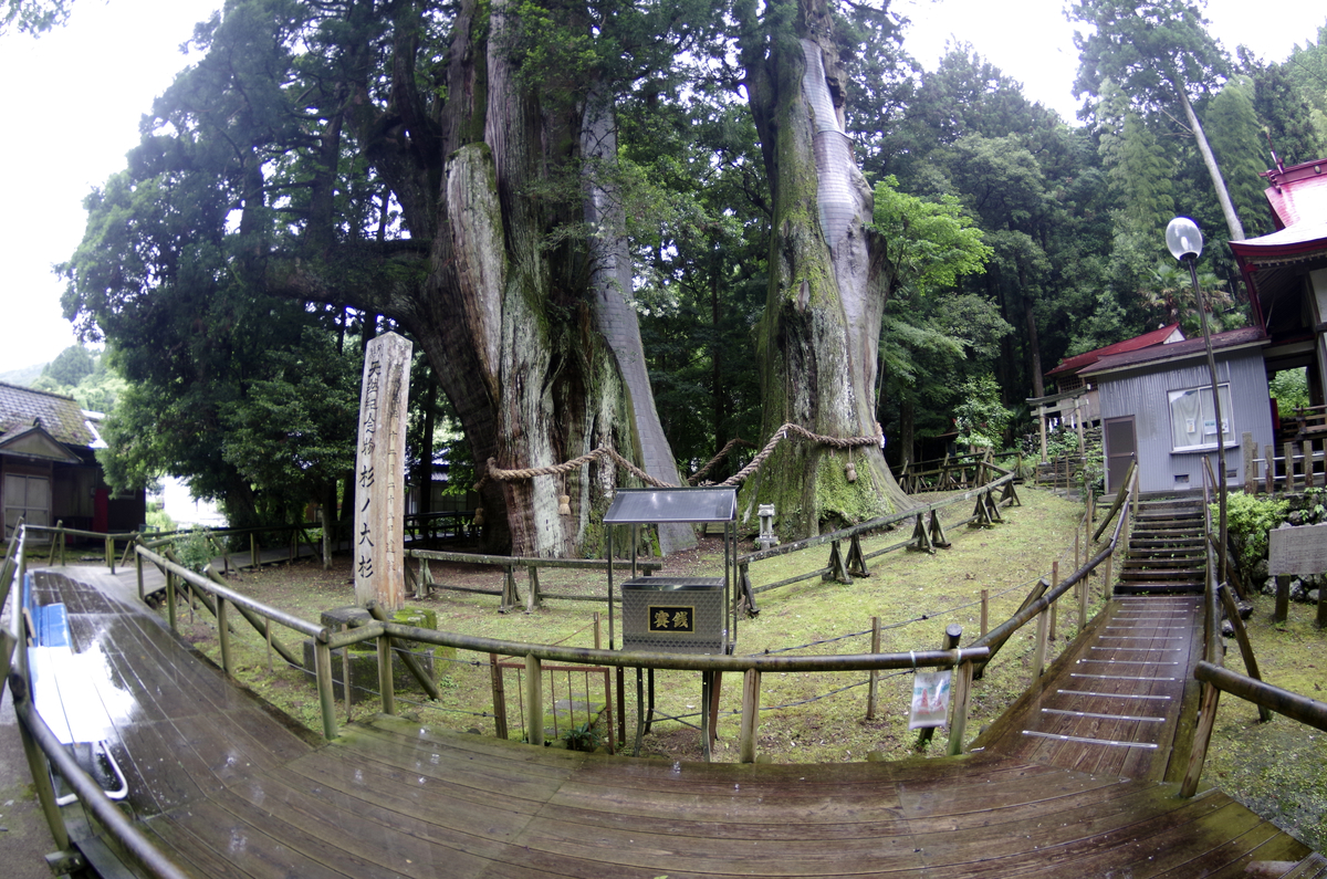 f:id:wakuraba01:20210204202818j:plain