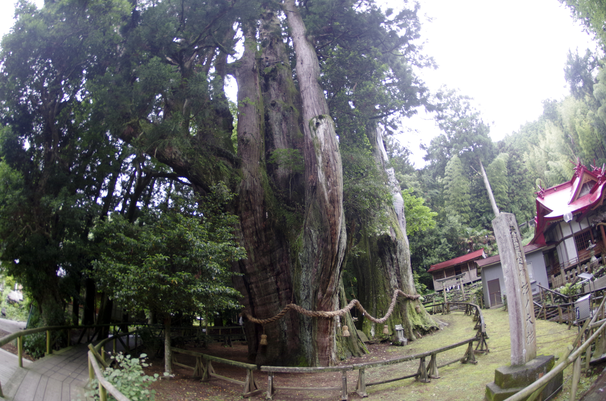 f:id:wakuraba01:20210204203217j:plain