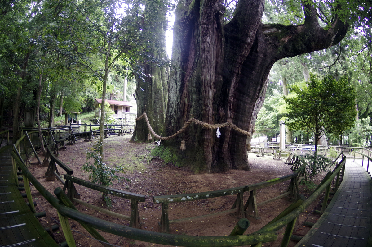 f:id:wakuraba01:20210204203221j:plain
