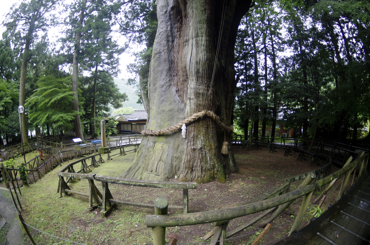 f:id:wakuraba01:20210204203255j:plain