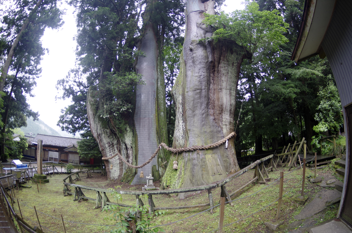 f:id:wakuraba01:20210204203302j:plain