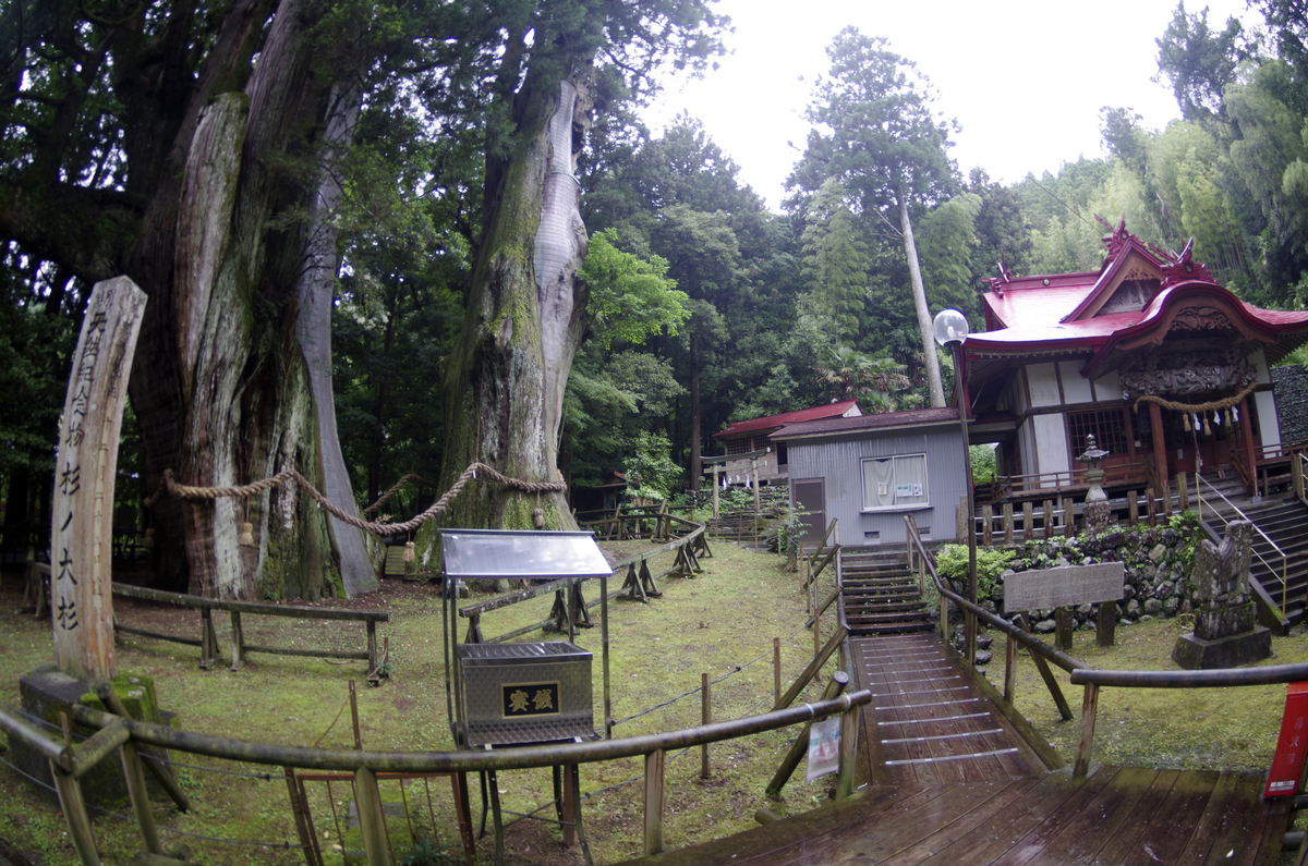 f:id:wakuraba01:20210204203602j:plain