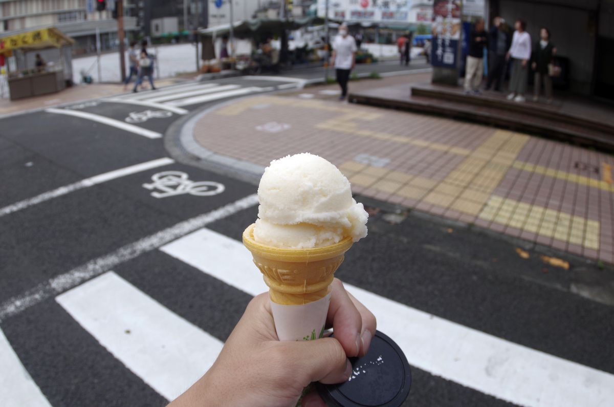 f:id:wakuraba01:20210207173537j:plain