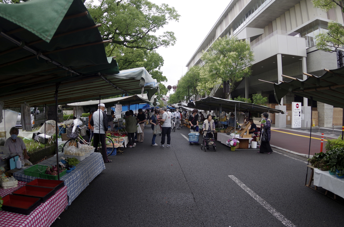 f:id:wakuraba01:20210207173546j:plain