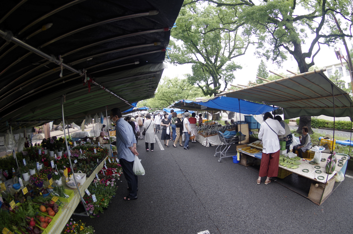 f:id:wakuraba01:20210207175327j:plain