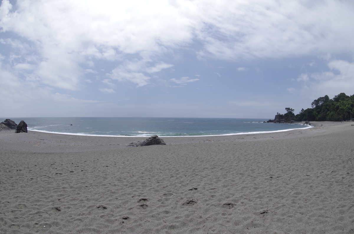 f:id:wakuraba01:20210207181609j:plain