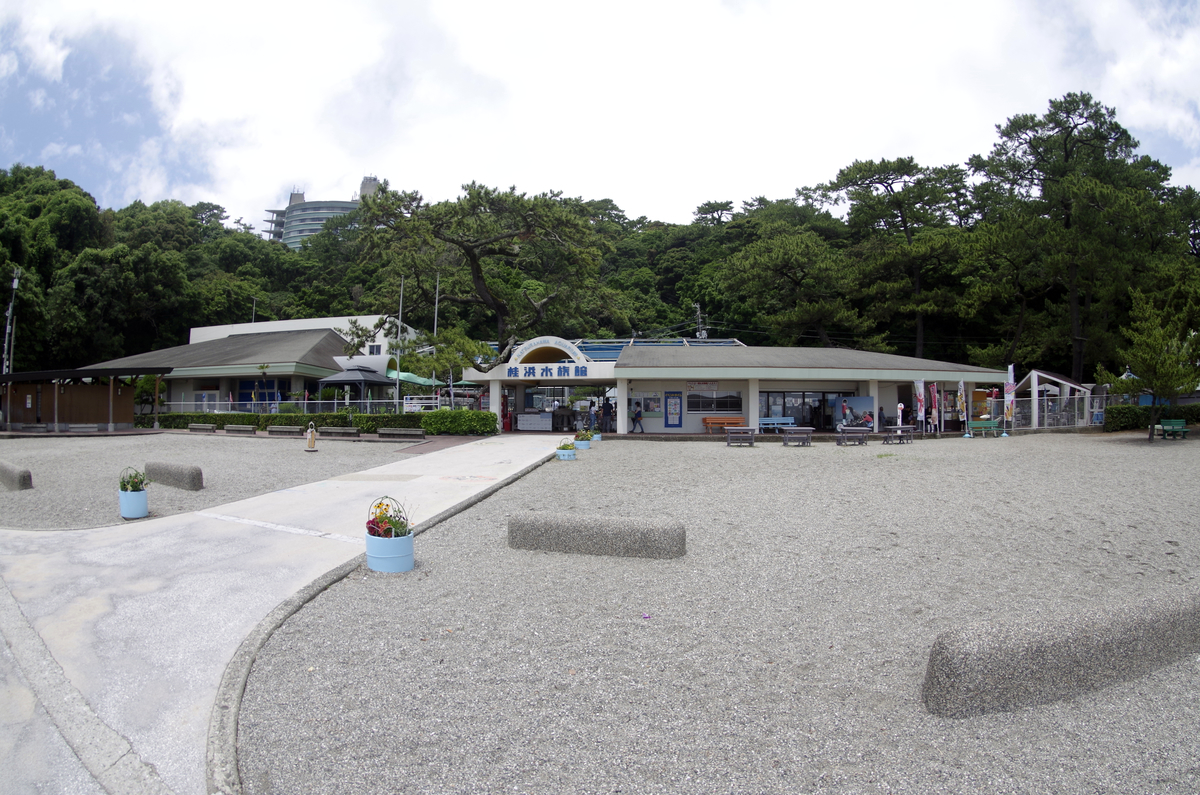 f:id:wakuraba01:20210207181657j:plain