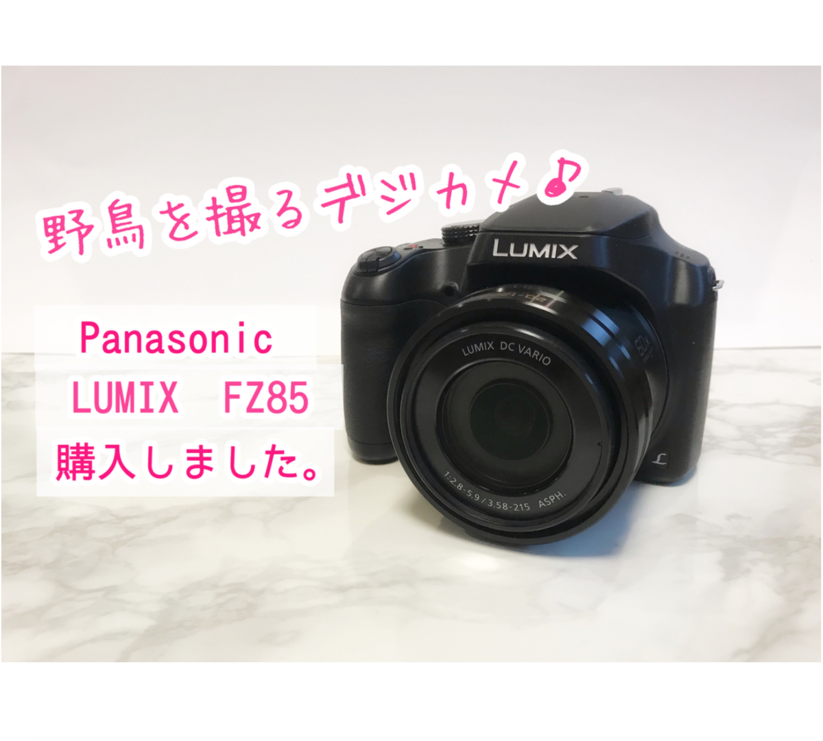 Lumix Fz85 野鳥撮影用デジカメ 写真 動画の画質レビュー ワクワクビタミン Lumix Fz85 野鳥撮影用デジカメ 写真 動画の画質レビュー ワクワクビタミン