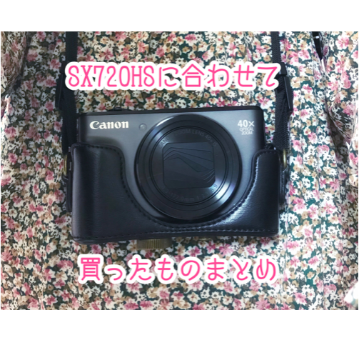 SX720 hs キヤノン　レビュー　小さい　デジカメ　野鳥撮影　おすすめ 