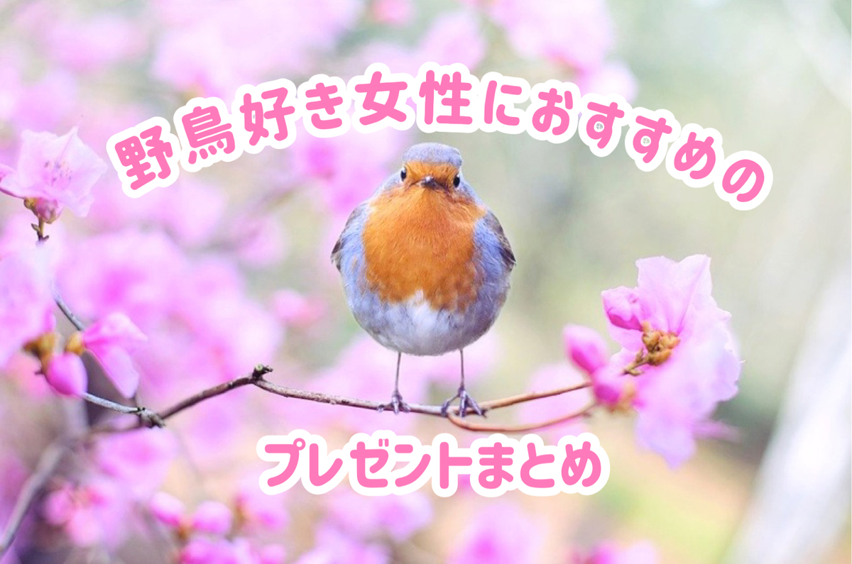 野鳥好き女性へのプレゼントにオススメな可愛い鳥グッズまとめ ワクワクビタミン