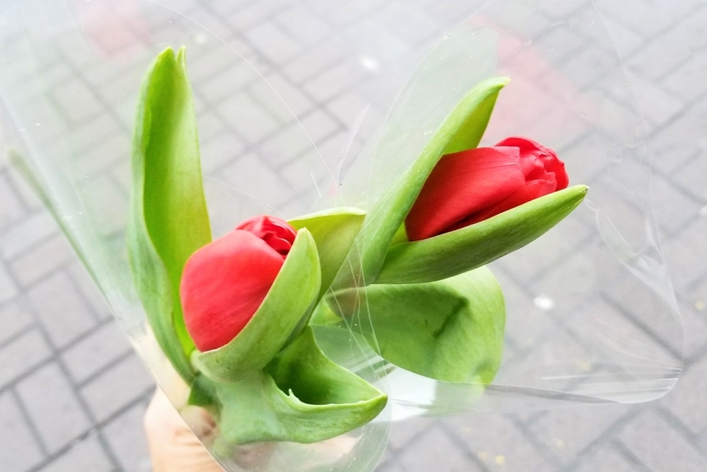 f:id:wakuwaku_takumiko:20180523143634j:plain f:id:wakuwaku_takumiko:20180523143634j:plain