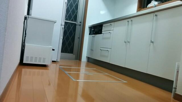 f:id:wakuwakusetuyaku:20170601065538j:image f:id:wakuwakusetuyaku:20170601065538j:image