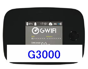 G3000