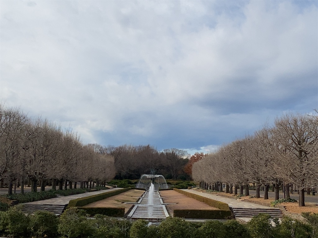 f:id:wakuwakushincha:20201219220037j:image