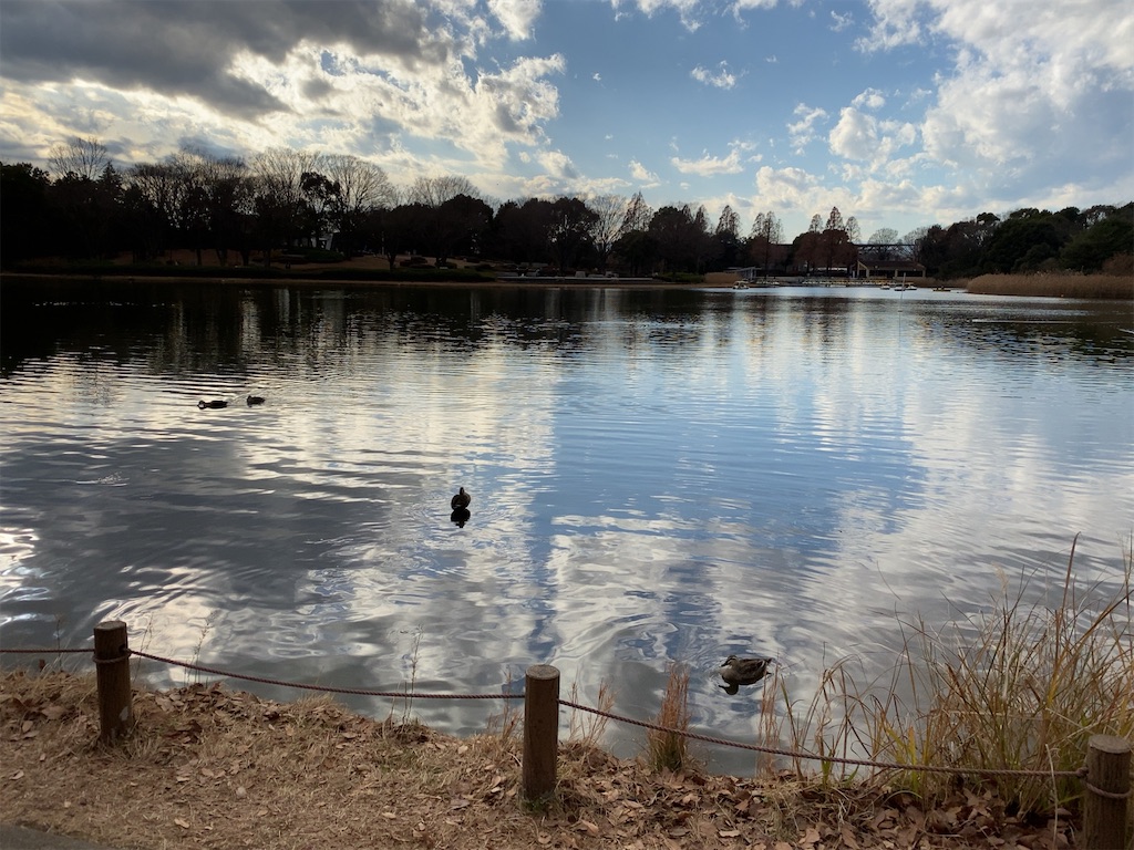 f:id:wakuwakushincha:20201219220047j:image