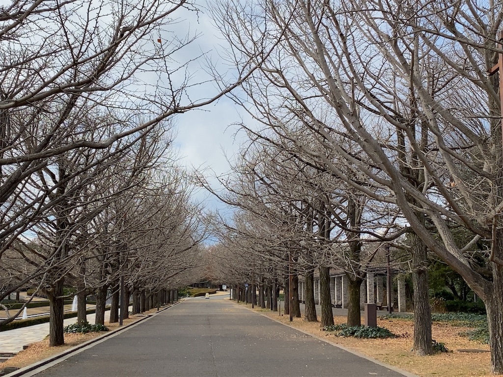 f:id:wakuwakushincha:20201219220100j:image