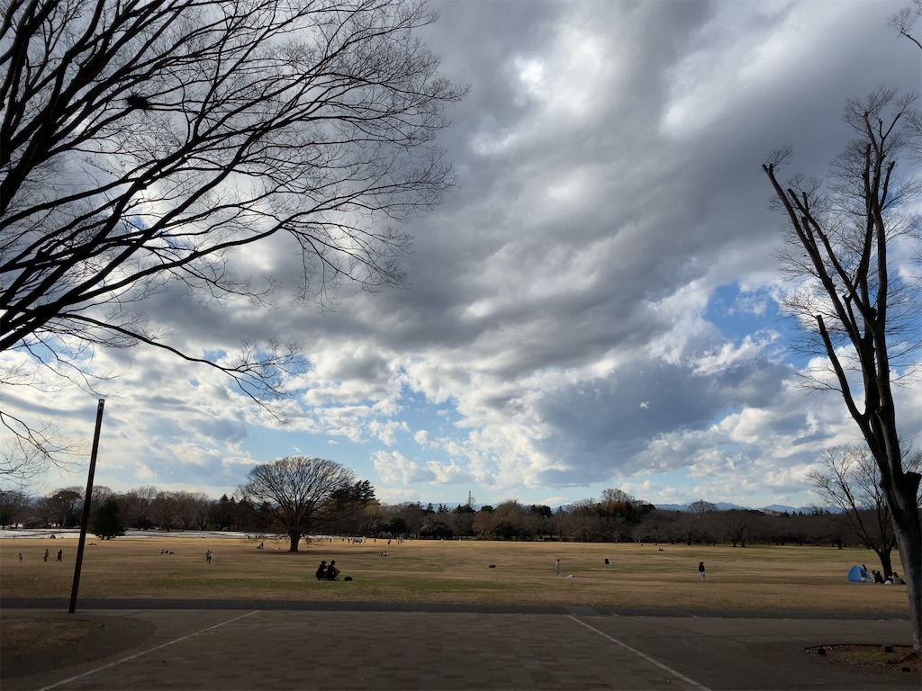 f:id:wakuwakushincha:20201219220455j:image