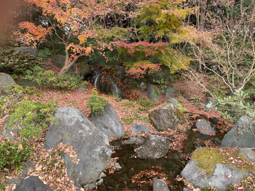 f:id:wakuwakushincha:20201219222346j:image