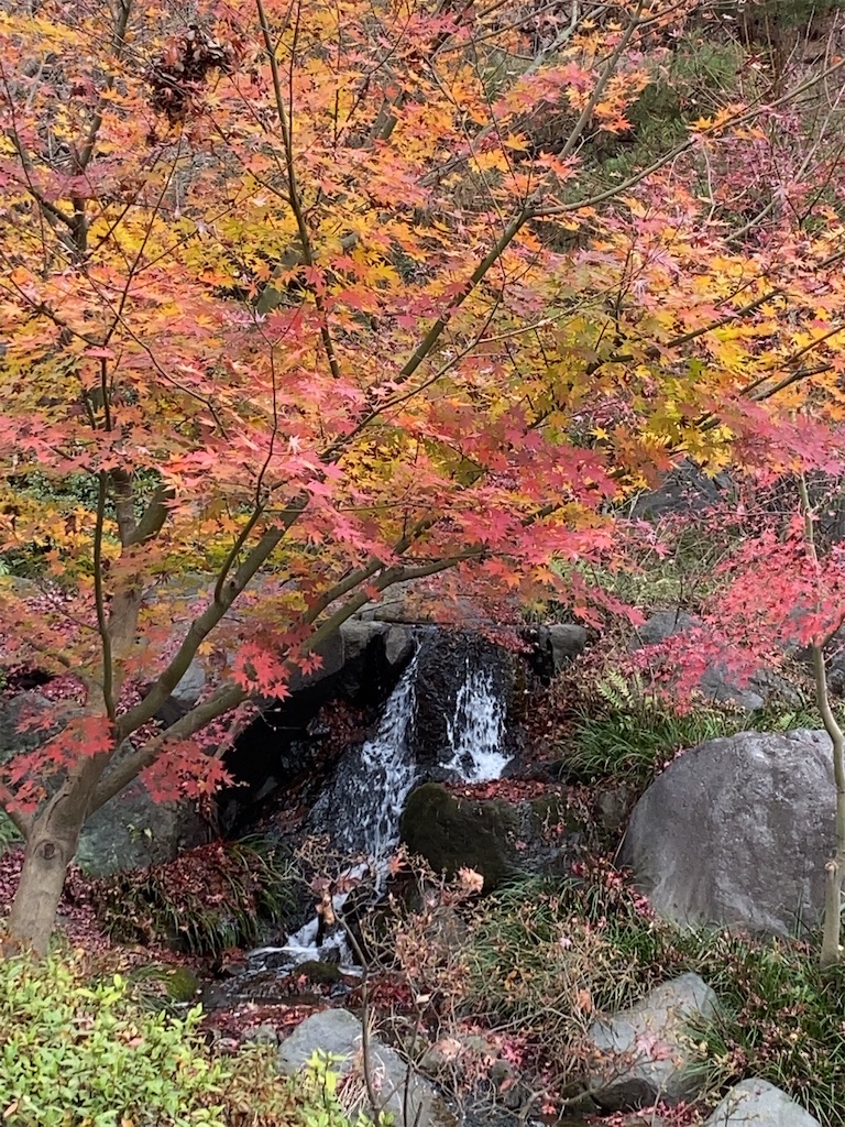 f:id:wakuwakushincha:20201219222353j:image