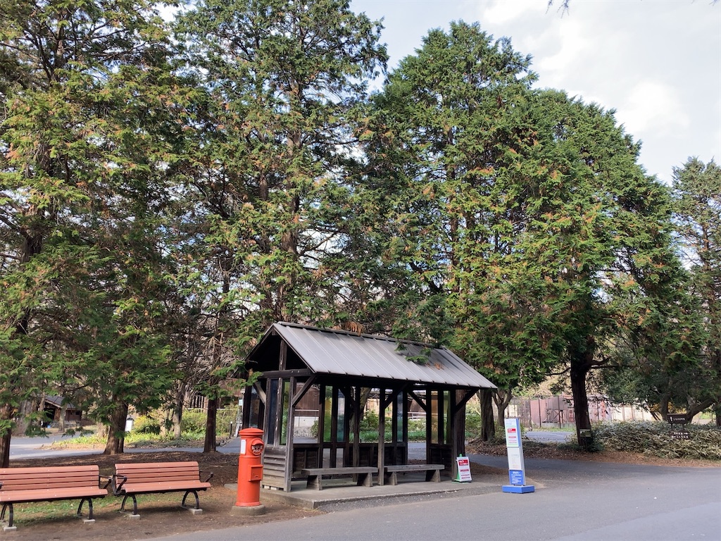 f:id:wakuwakushincha:20201219222921j:image