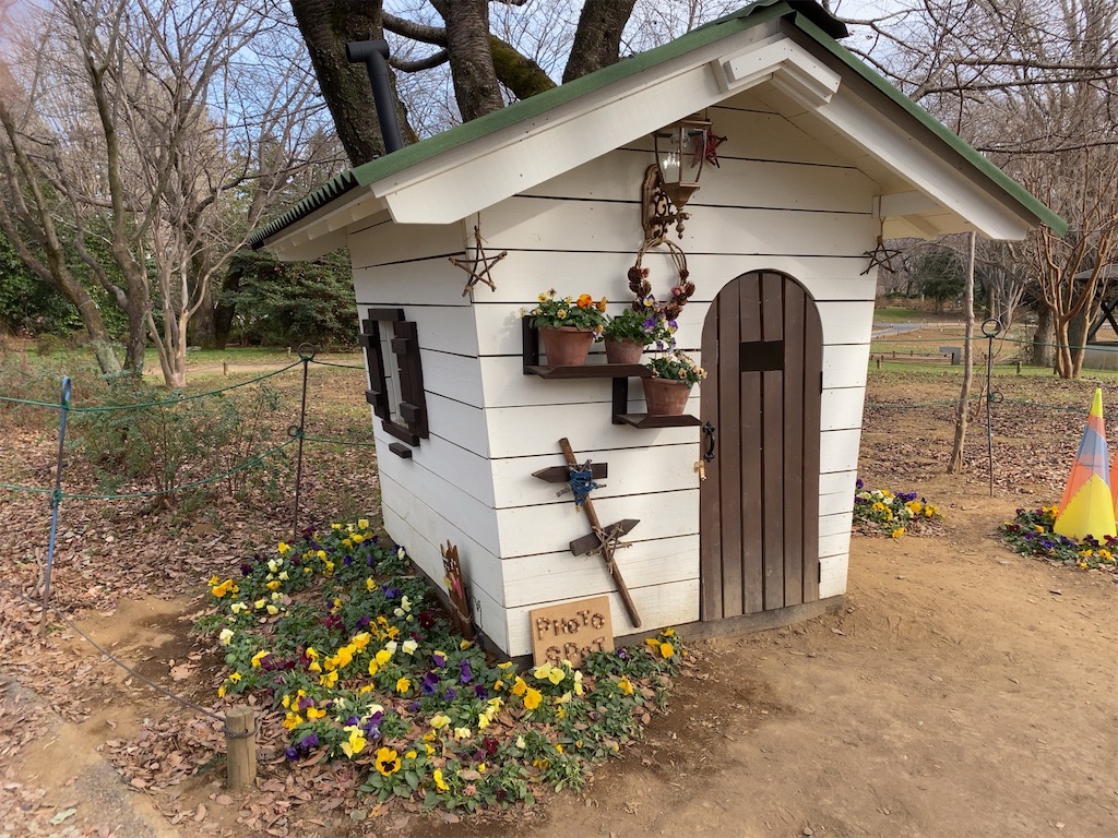 f:id:wakuwakushincha:20201219222924j:image