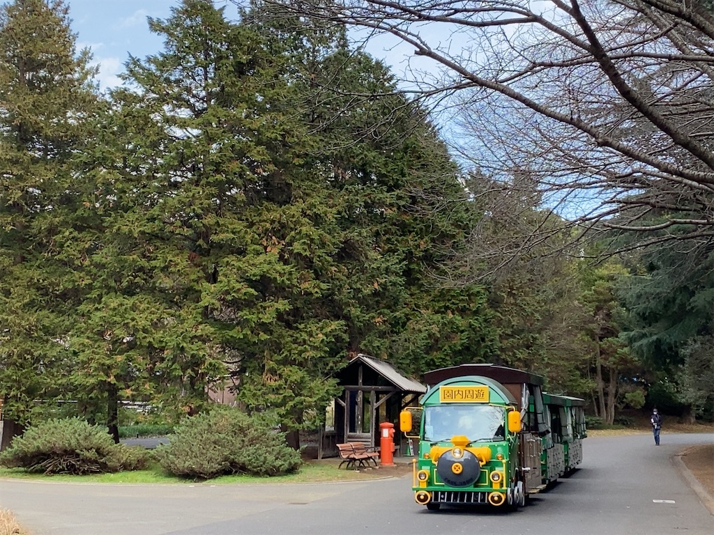 f:id:wakuwakushincha:20201219222929j:image