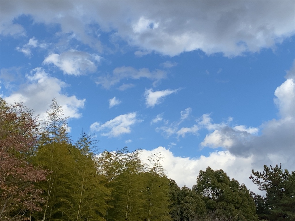 f:id:wakuwakushincha:20201220103105j:image