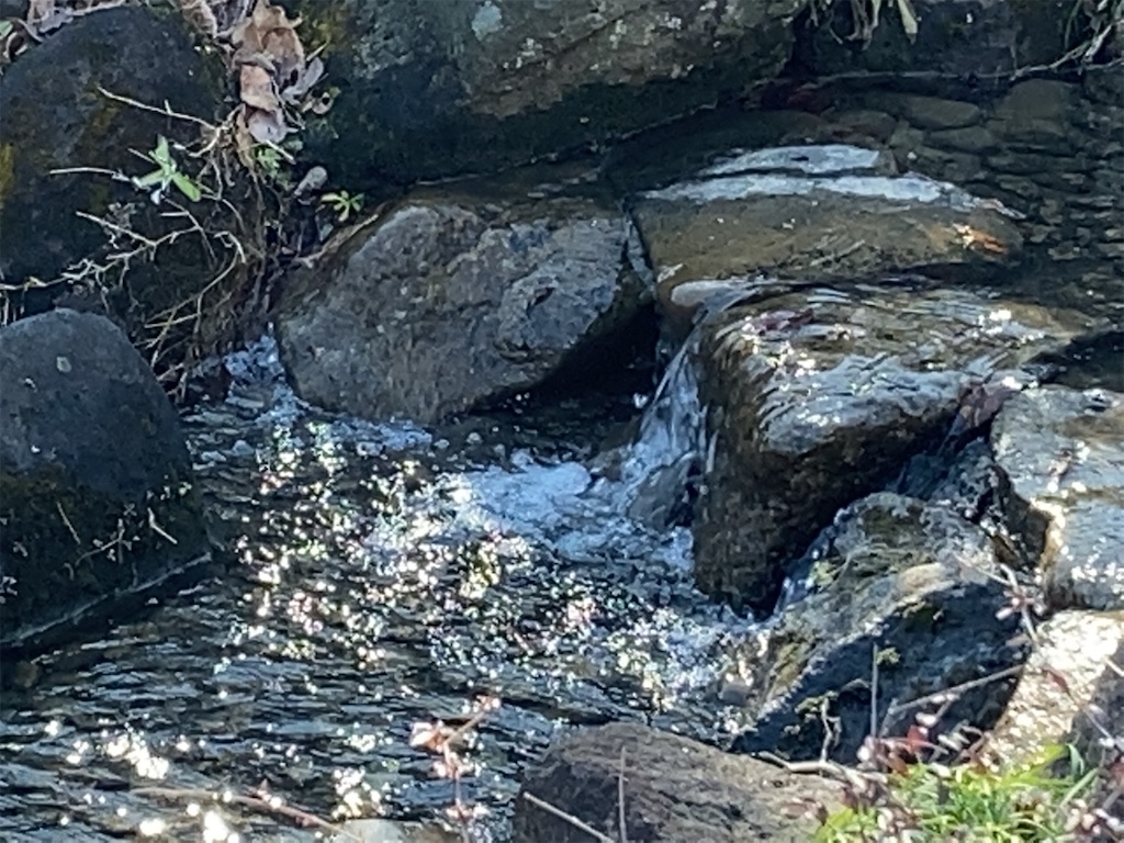 f:id:wakuwakushincha:20210129235514j:image