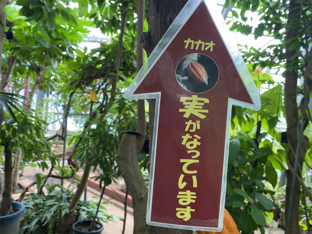 f:id:wakuwakushincha:20210704195933j:image