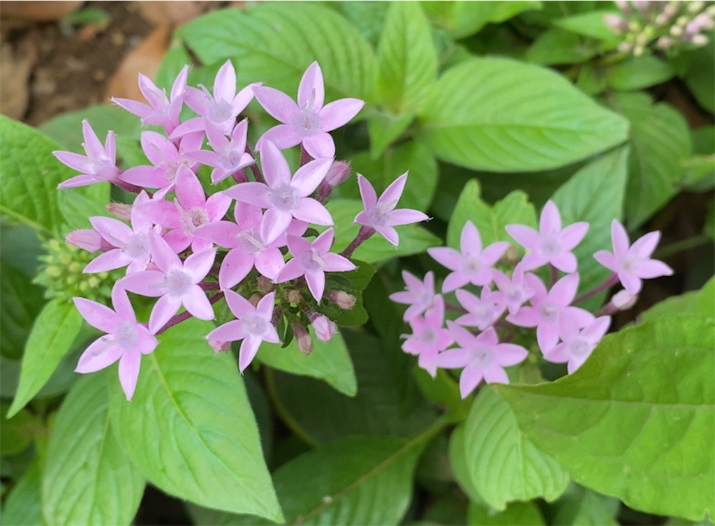 f:id:wakuwakushincha:20211011230609j:image f:id:wakuwakushincha:20211011230609j:image