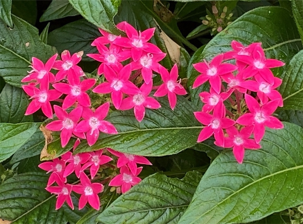 f:id:wakuwakushincha:20211012072422j:image f:id:wakuwakushincha:20211012072422j:image