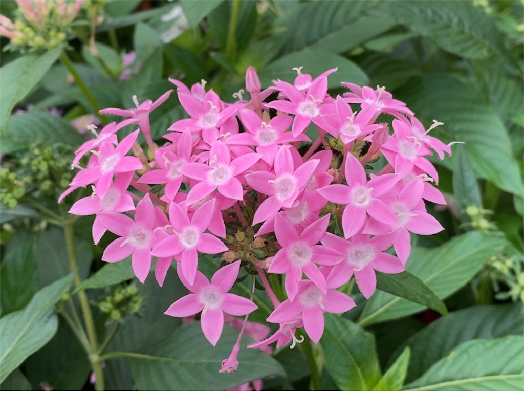 f:id:wakuwakushincha:20211012072703j:image f:id:wakuwakushincha:20211012072703j:image