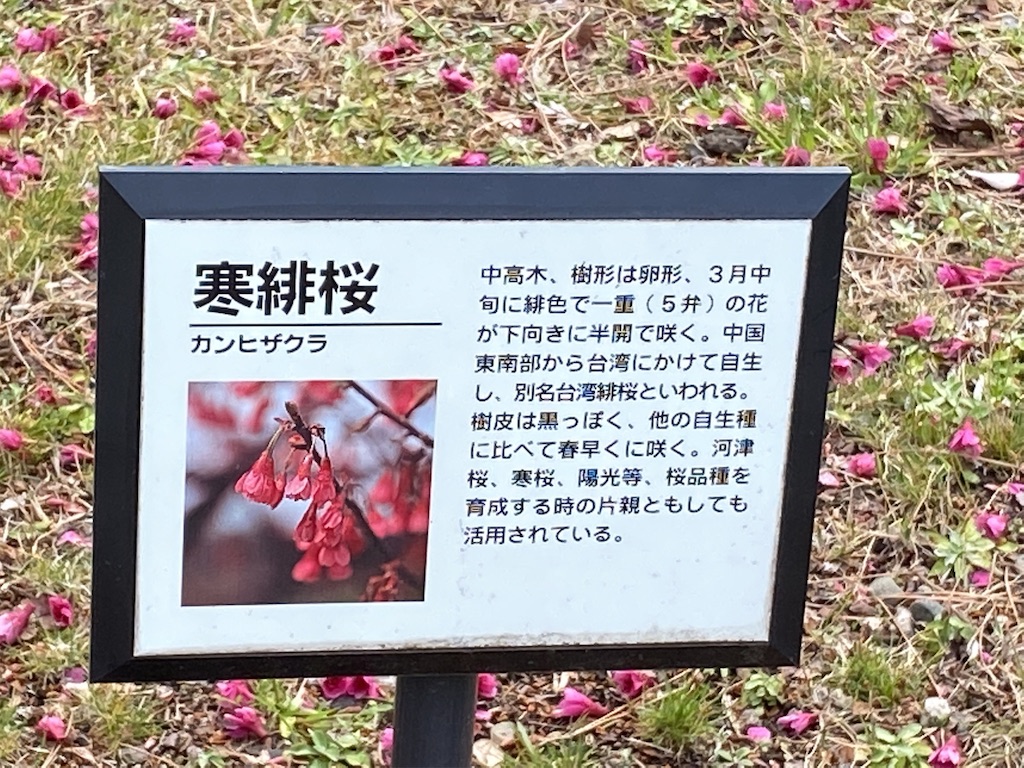 f:id:wakuwakushincha:20220320181415j:image