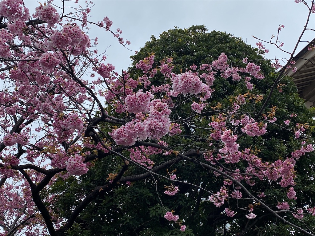 f:id:wakuwakushincha:20220320182815j:image