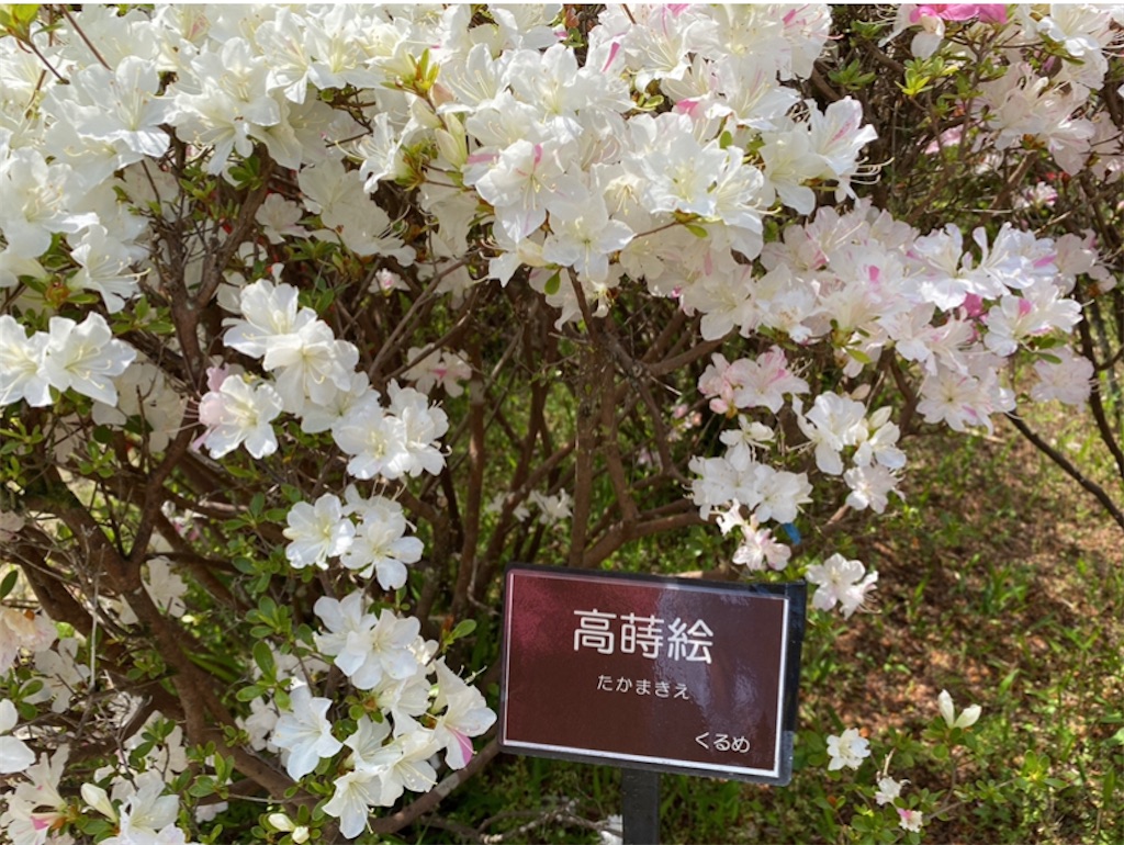f:id:wakuwakushincha:20220501112557j:image f:id:wakuwakushincha:20220501112557j:image