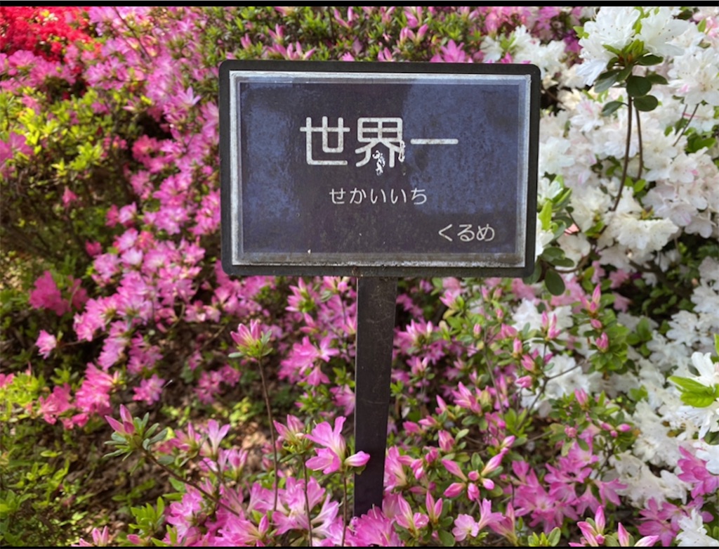 f:id:wakuwakushincha:20220501114724j:image