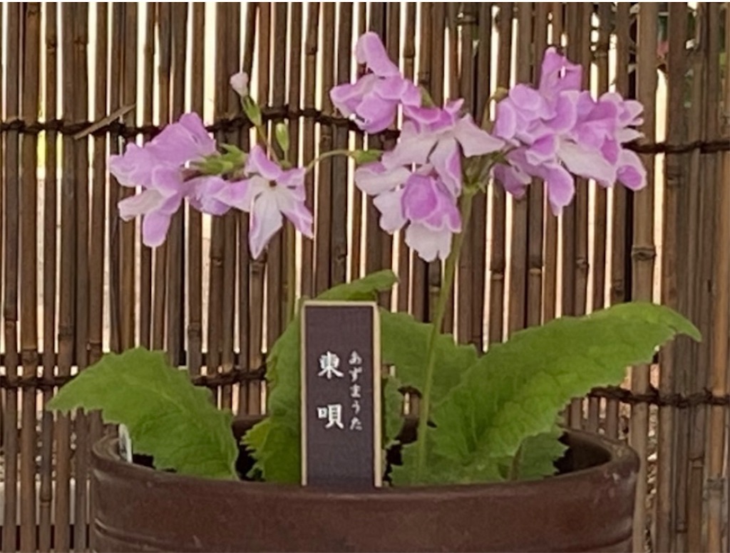 f:id:wakuwakushincha:20220510213109j:image f:id:wakuwakushincha:20220510213109j:image