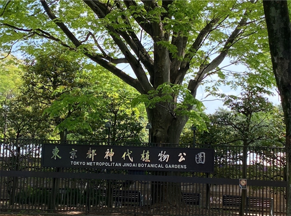 緑色 的な僕と春バラ 22 緑色 的な僕のほんのりワクワクblog 緑色 的な僕と春バラ 22 緑色 的な僕のほんのりワクワクblog