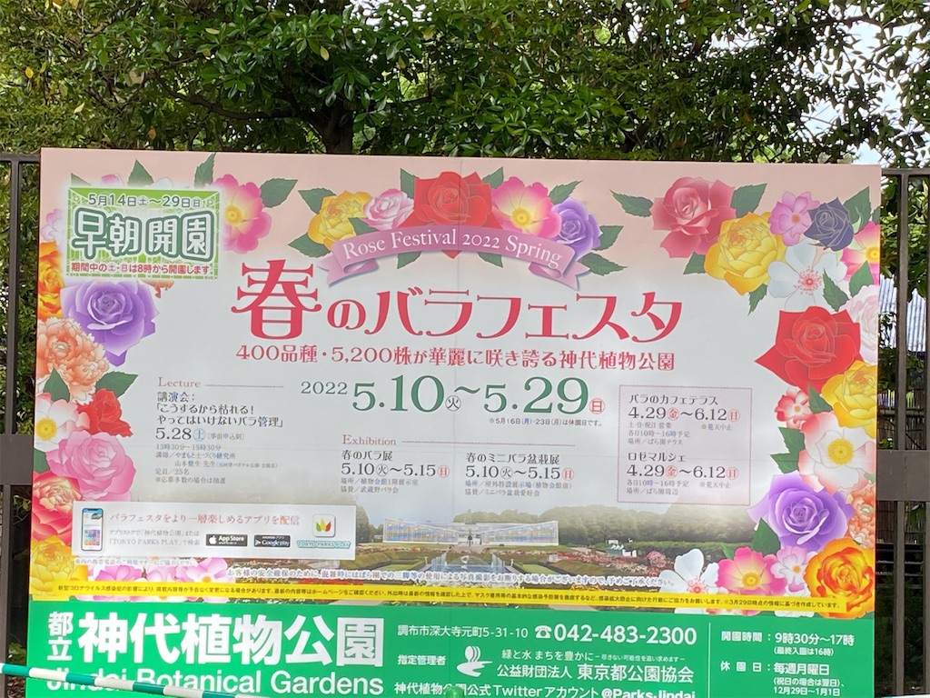 緑色 的な僕と春バラ 22 緑色 的な僕のほんのりワクワクblog 緑色 的な僕と春バラ 22 緑色 的な僕のほんのりワクワクblog