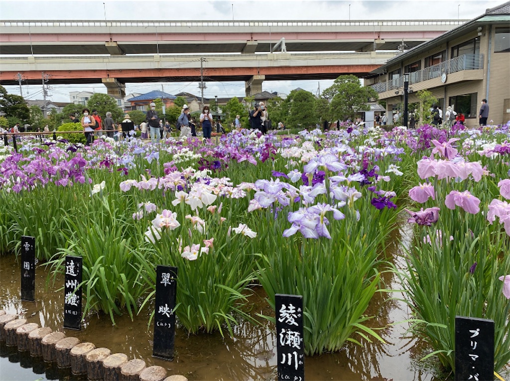 f:id:wakuwakushincha:20220619130543j:image