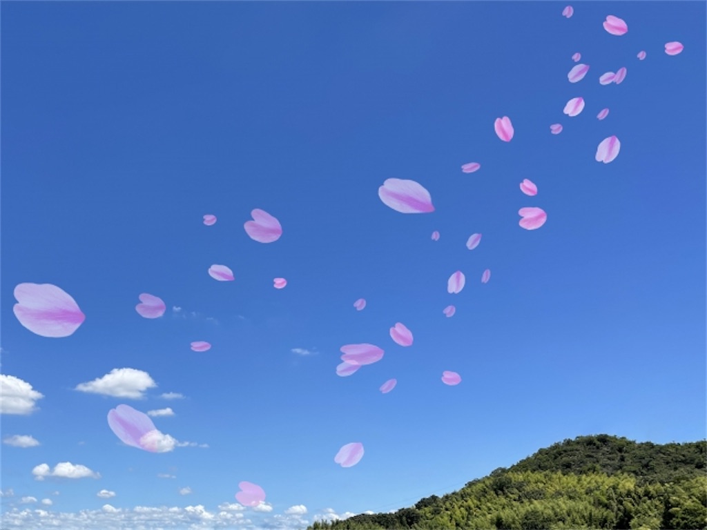 f:id:wakuwakushincha:20220713210512j:image f:id:wakuwakushincha:20220713210512j:image