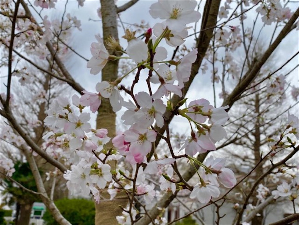 f:id:wakuwakushincha:20230402102018j:image