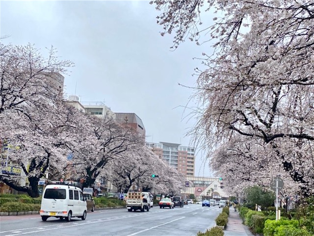 f:id:wakuwakushincha:20230402112345j:image f:id:wakuwakushincha:20230402112345j:image
